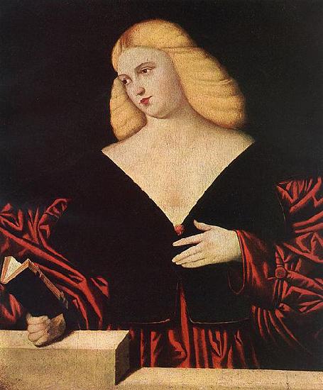 Bernardino Licinio Portrait of a woman oil painting image